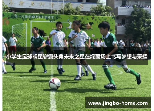 小学生足球明星崭露头角未来之星在绿茵场上书写梦想与荣耀